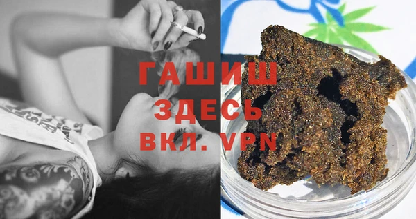 индика Аркадак